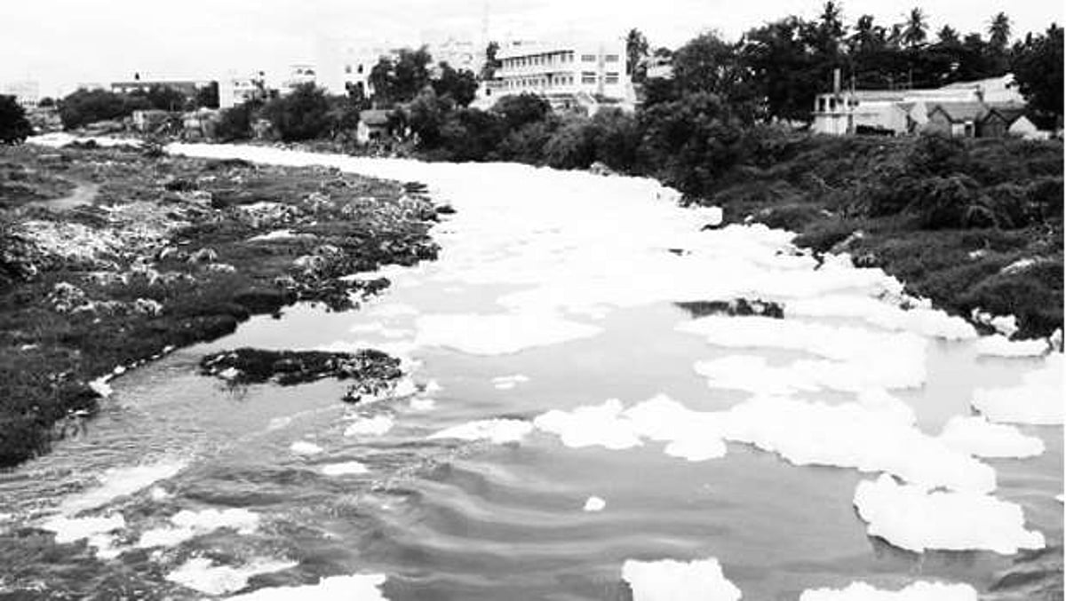 சாயக் கழிவில் நொய்யல்; வேதனையில் விவசாயிகள்