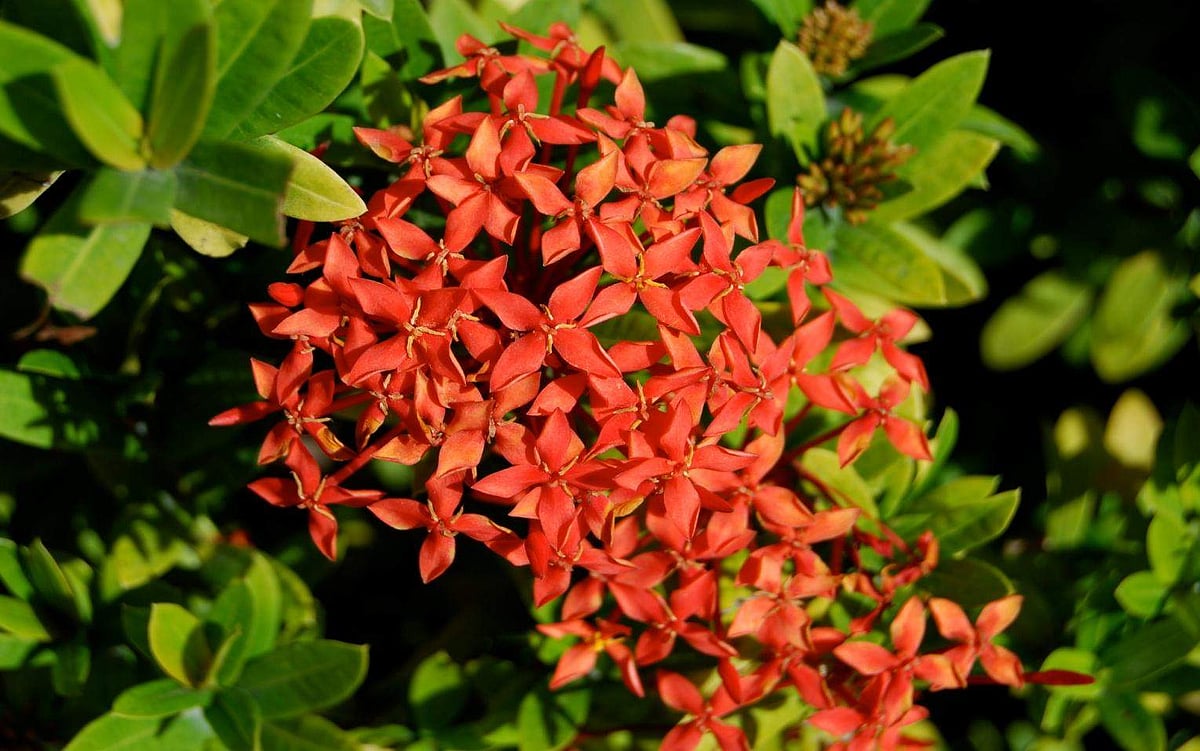 தோலில் ஏற்படும் அரிப்பை எப்படி சரி செய்யலாம்?