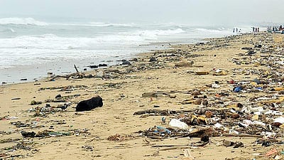 ​குப்பை கூடமாக மாறிப்போன மெரினா கடற்கரை