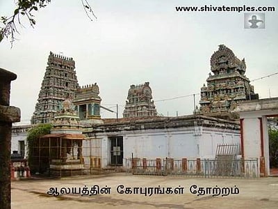 வருடத்திற்கு ஒருமுறை நிகழும் அரிய நிகழ்வைக் காண வேண்டுமா? முல்லை வனத்திற்கு வாங்க!