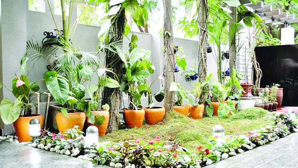 படித்தது பொறியியல்... அமைப்பதோ தோட்டம்!