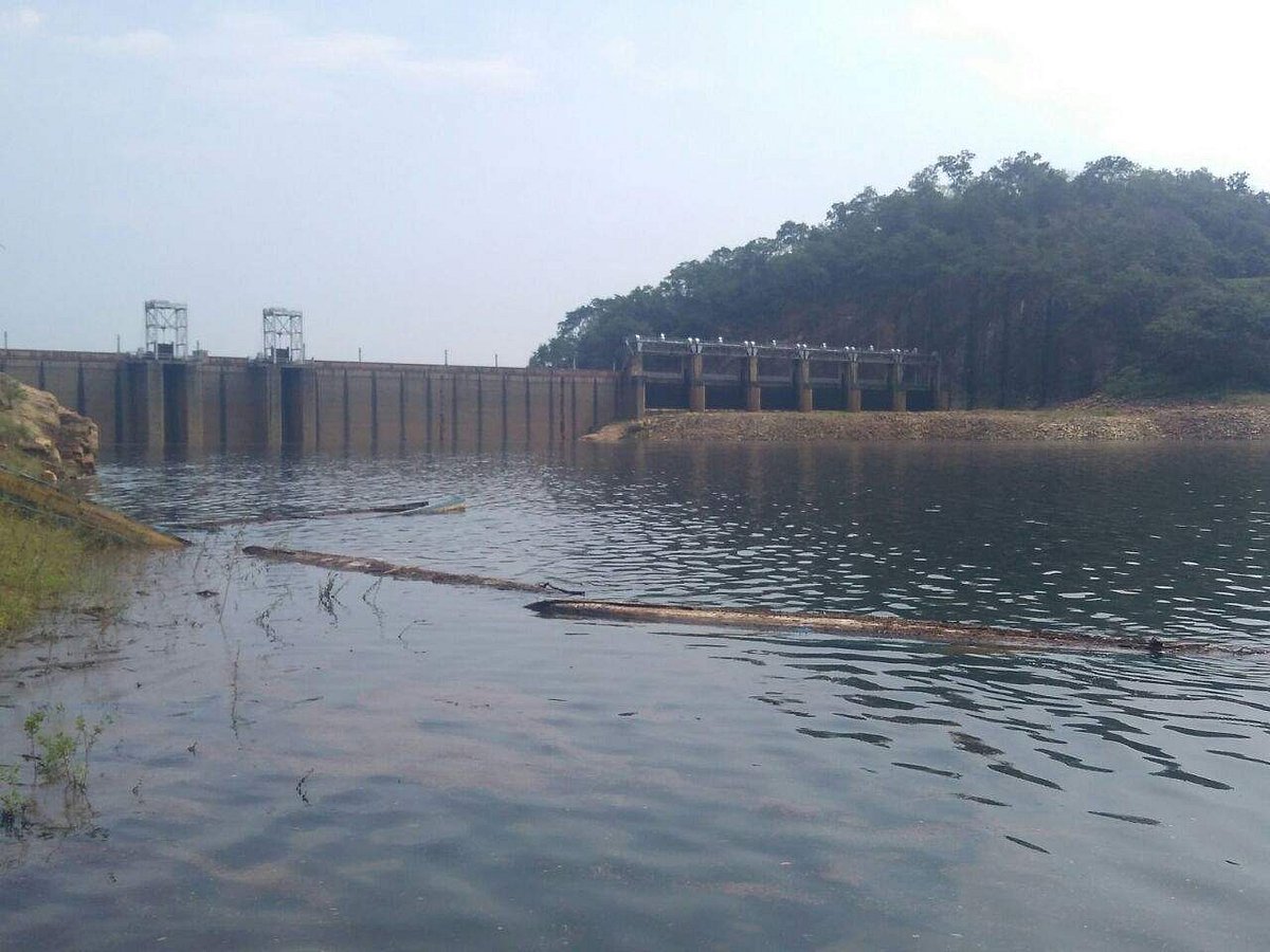 சேர்வலாறு அணை நீர்மட்டம் ஒரே நாளில் 10 அடி உயர்வு!