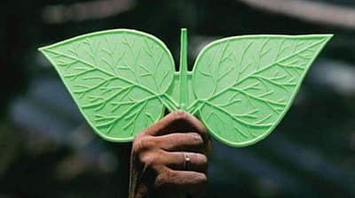 அ.தி.மு.க.வில் இருந்து முன்னாள் அமைச்சர் உள்ளிட்ட 100 பேர் நீக்கம் 