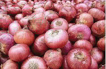 கோயம்பேடு சந்தையில் வெங்காயத்தின் வரத்து திடீரென அதிகரிப்பு: மொத்த விலையில் கிலோவுக்கு ரூ.10 குறைந்தது