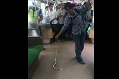ஓடும் ரயிலில் பாம்பு: வெறும் கைகளால் அடித்துக் கொன்ற இந்தோனேசிய வாலிபர்! 
