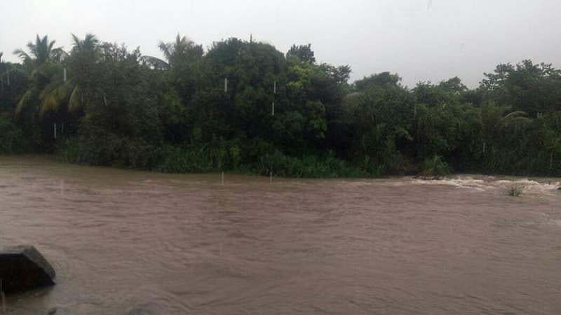 தொடர் மழையால் பாபநாசம், சேர்வலாறு அணைகளுக்கு 33000 கனஅடி நீர்வரத்து