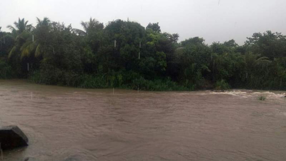 தொடர் மழையால் பாபநாசம், சேர்வலாறு அணைகளுக்கு 33000 கனஅடி நீர்வரத்து