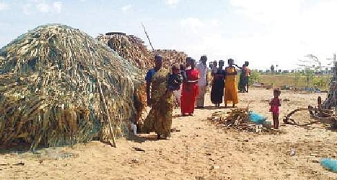 வாழ்வாதாரமின்றி தவிக்கும் இருளர் சமூக மக்கள்