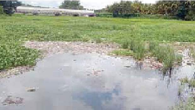 ஆழியாற்றில் கலக்கும் கழிவுநீர்: கேள்விக்குறியாகும் 15 லட்சம் மக்களின் சுகாதாரம்