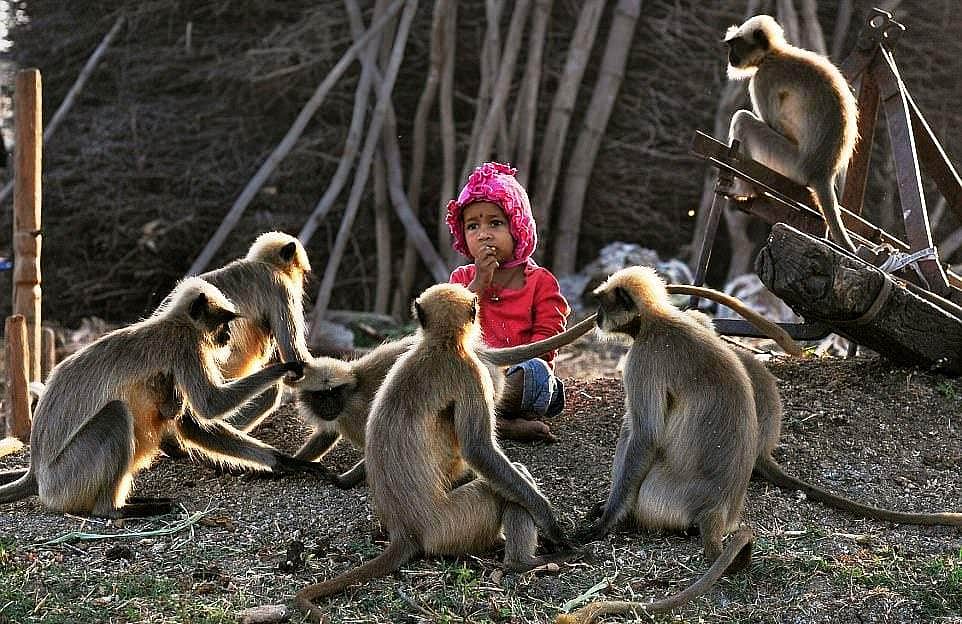 News image