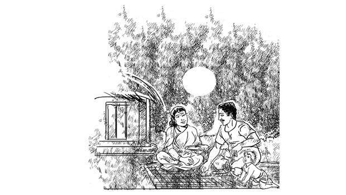 வெக்கை தனியா வேசாடு!