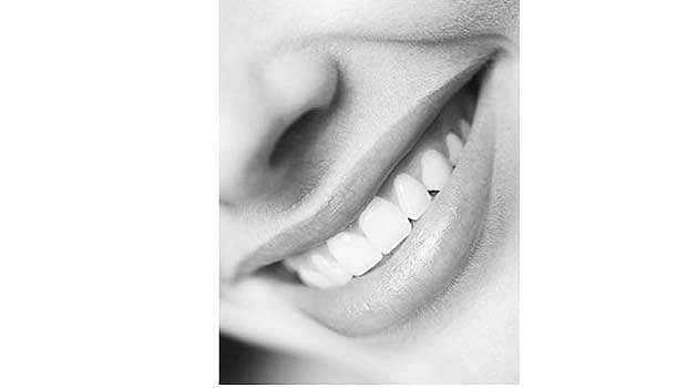 தமிழ்ச் செல்வங்கள்: பல்