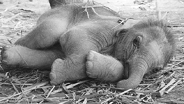 உணவை மறக்கச் செய்த பண்...