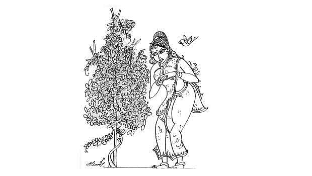 பறம்பின் முல்லை