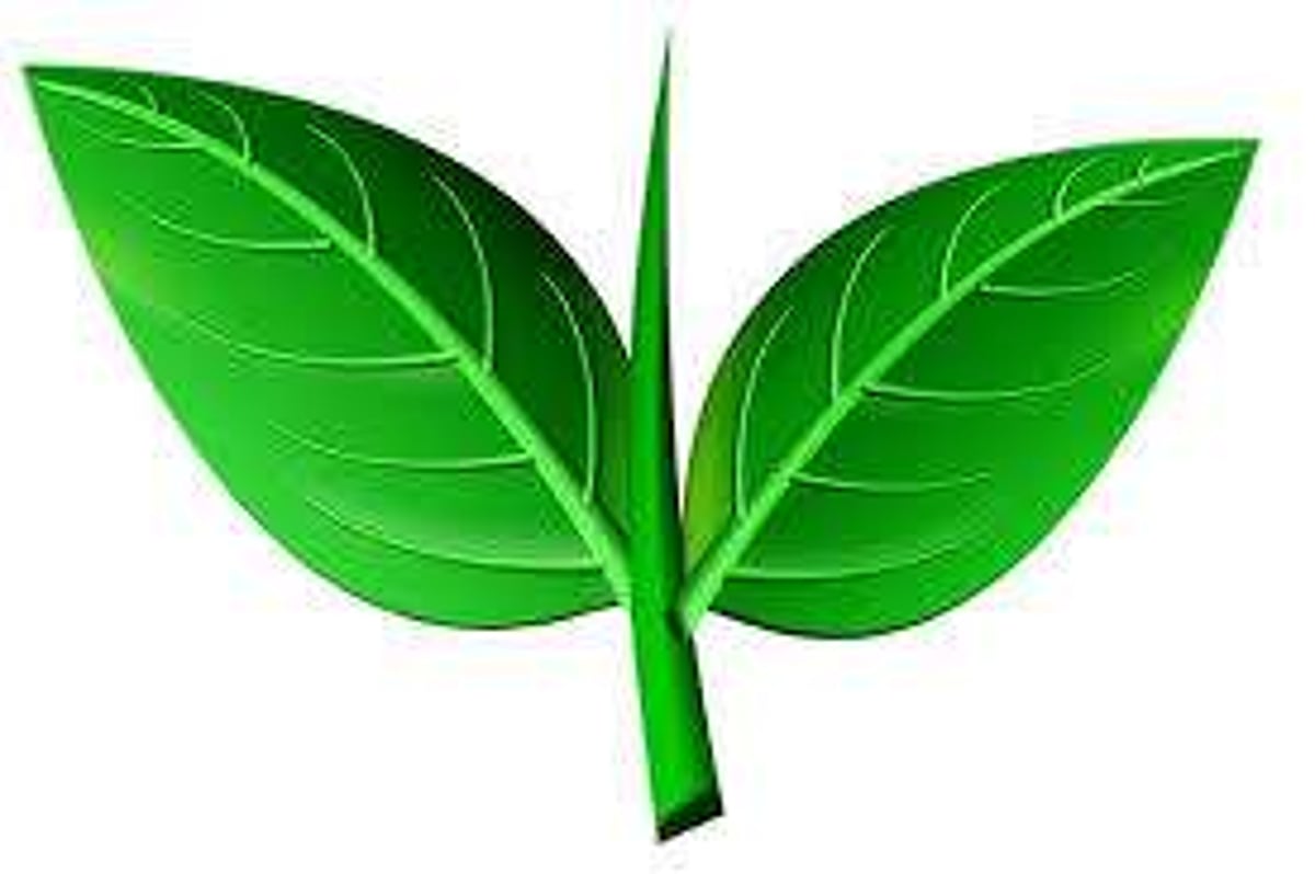 இரட்டை இலை சின்னம் யாருக்கு? சட்டம் என்ன சொல்கிறது?