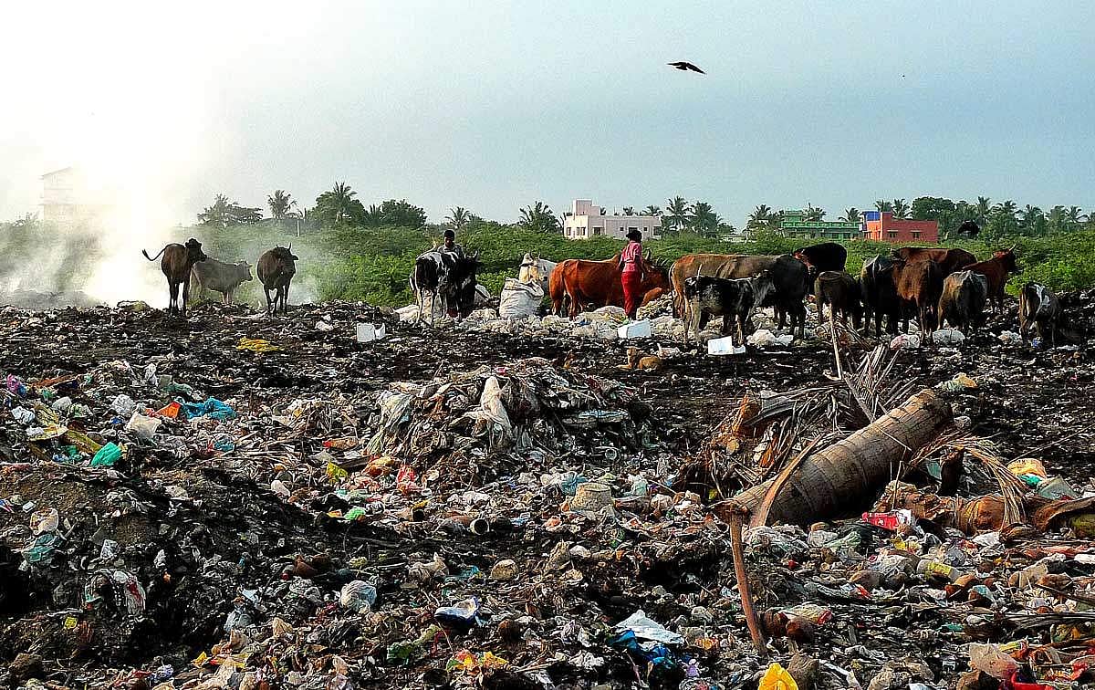 திறந்த வெளிகளில் குப்பையை எரித்தால் அபராதம்