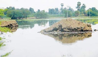கோழிக் கழிவுகளைக் கொட்டியதால் நிறம் மாறிய ஏரி நீர் 