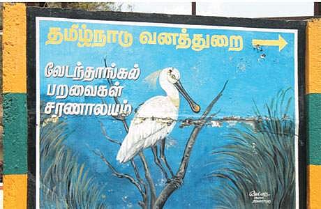 கோடையால் வறண்டு வரும் வேடந்தாங்கல் ஏரி: வெறிச்சோடிய பறவைகள் சரணாலயம்