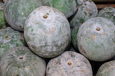 கொளுத்தும் வெயிலுக்கு உகந்த பூசணி!  