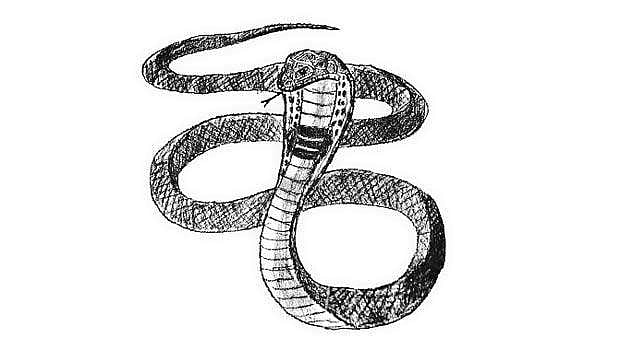 குளிரடிக்கும் கோடை!