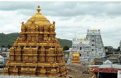 திருப்பதி தேவஸ்தான நிர்வாக அலுவலகத்தின் கணினிகளில் வைரஸ் தாக்குதல்