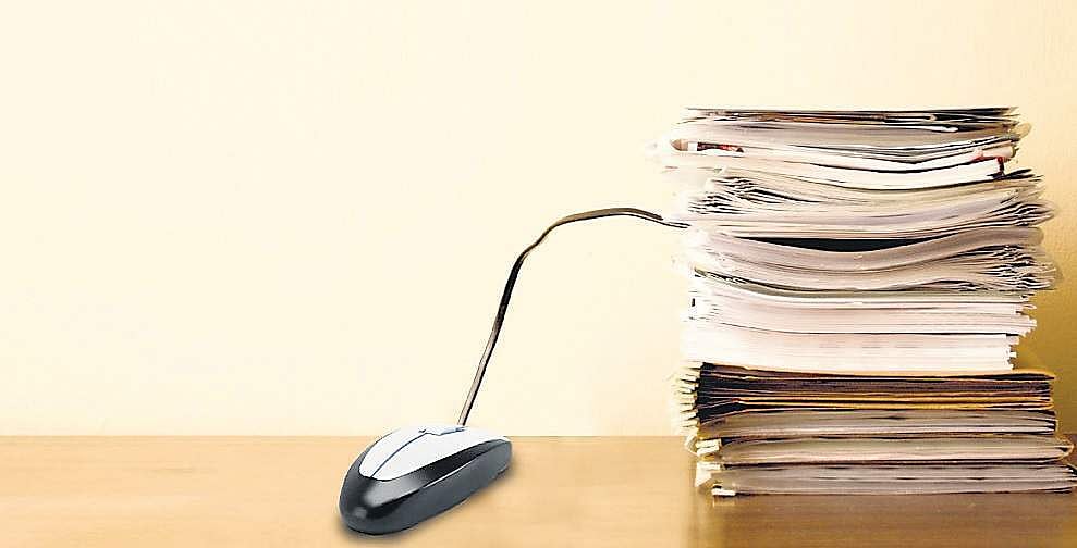 ஒரே வெட்டில் 4560 மரங்கள் உயிர் பிழைத்தன: மரங்களைக் காப்பதில் உச்சநீதிமன்றத்தின் அதிரடி நடவடிக்கை!