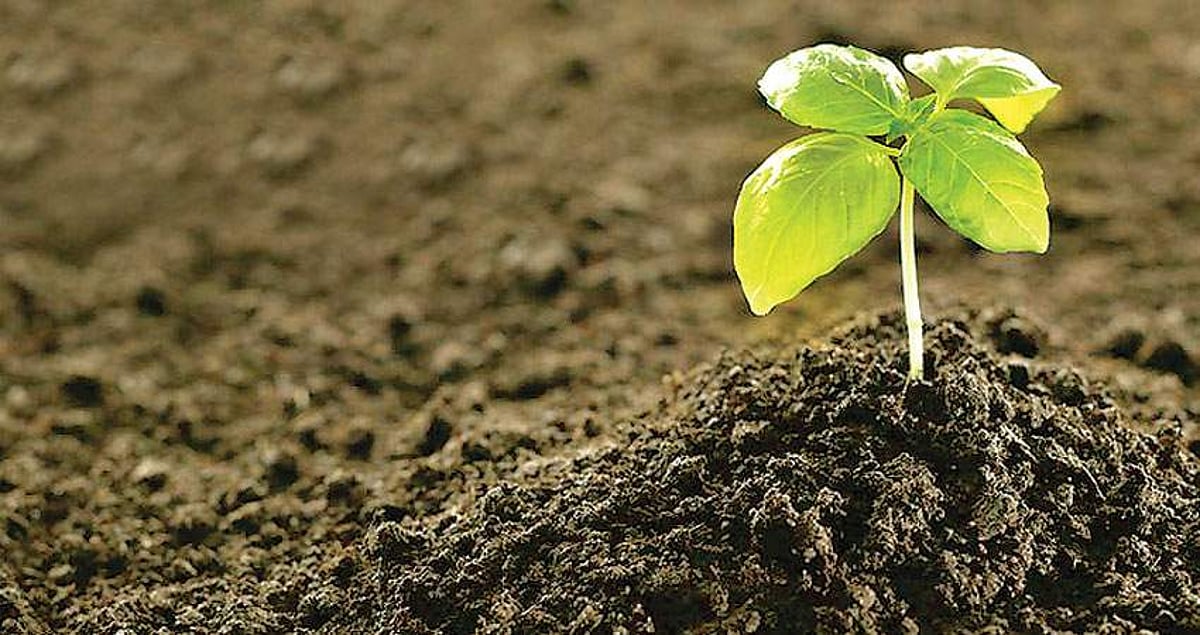 வேக வளர்ச்சி பெறும் இயற்கை வேளாண்மை