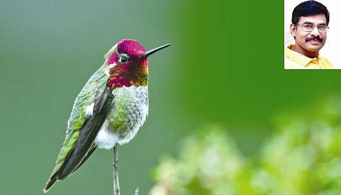 அடுத்தவர்களுக்காக வாழ்வது...