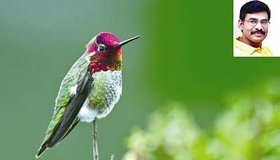 அடுத்தவர்களுக்காக வாழ்வது...