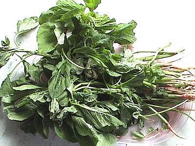 நரம்புச் சார்ந்த குறைபாடுகளிலிருந்து விடுபட உதவும் கசாயம்