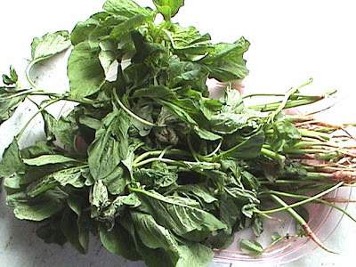 நரம்புச் சார்ந்த குறைபாடுகளிலிருந்து விடுபட உதவும் கசாயம்