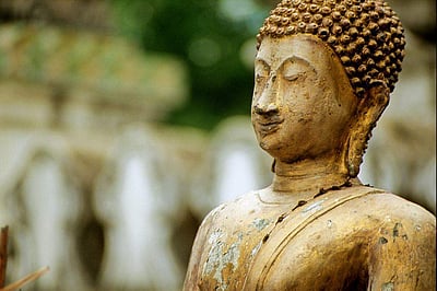 புத்தரை விட கூடுதல் புகழ் பெற்ற போதி மரம்!