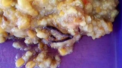 அரியானாவில் அதிர்ச்சி: அரசு பள்ளியில் வழங்கப்பட்ட சத்துணவில் குட்டிப்பாம்பு