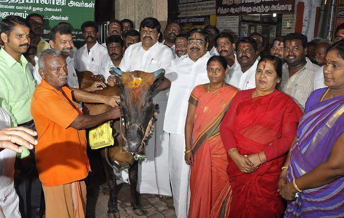 30 அர்ச்சகர்களுக்கு விலையில்லா கால்நடைகள்: அமைச்சர் கே.டி.ஆர். வழங்கினார்