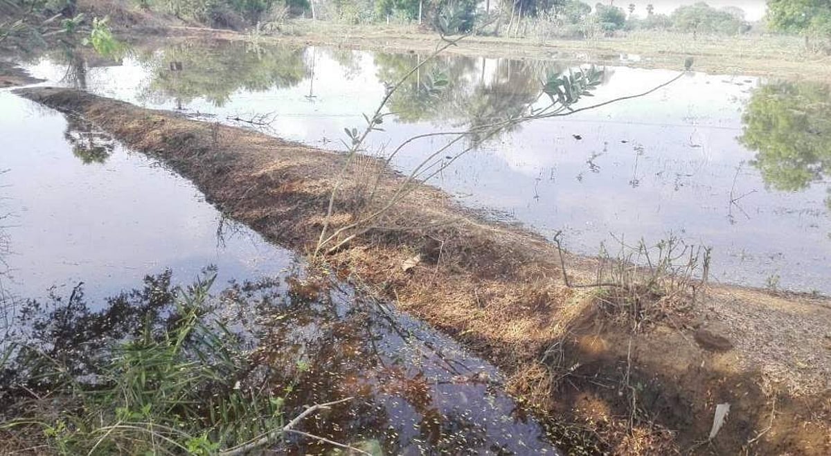 அன்னவாசல் அருகே காவிரி குடிநீர் குழாய் உடைப்பு: 2 நாளாக வீணகும் குடிநீரால் அருகே குளம் போல் காட்சியளிப்பு