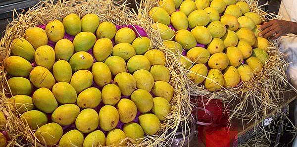 700 வகையான மாம்பழங்களை ஒரே இடத்தில் பார்க்க வேண்டுமா?