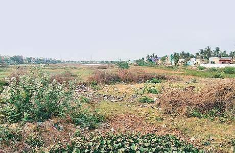 வடசென்னை பகுதியில் குறைந்து வரும் நிலத்தடி நீர் வளம்: ஆழப்படுத்தப்படுமா மணலி மாத்தூர் ஏரி?