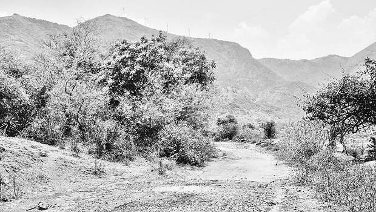 தேனி மாவட்டத்தில் 36 ஆண்டுகளாக வனத்துறை அனுமதிக்கு காத்திருக்கும் கேரள இணைப்புச் சாலை