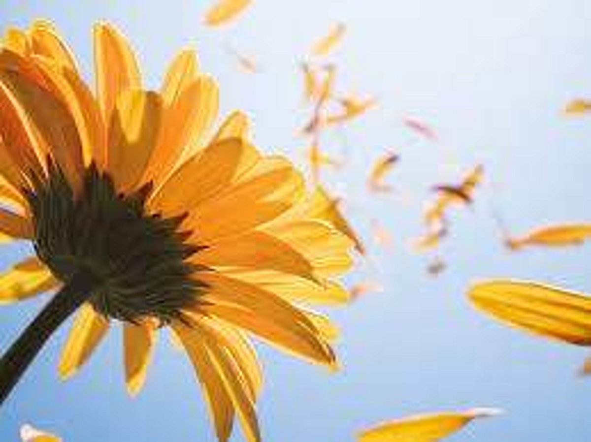 ஆனந்த தேன்காற்று தாலாட்டுதே!