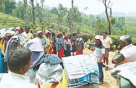 கூடலூரில் யானைகள் நடமாட்டத்தை எச்சரிக்கும் சிவப்பு விளக்கு கோபுரங்கள்!