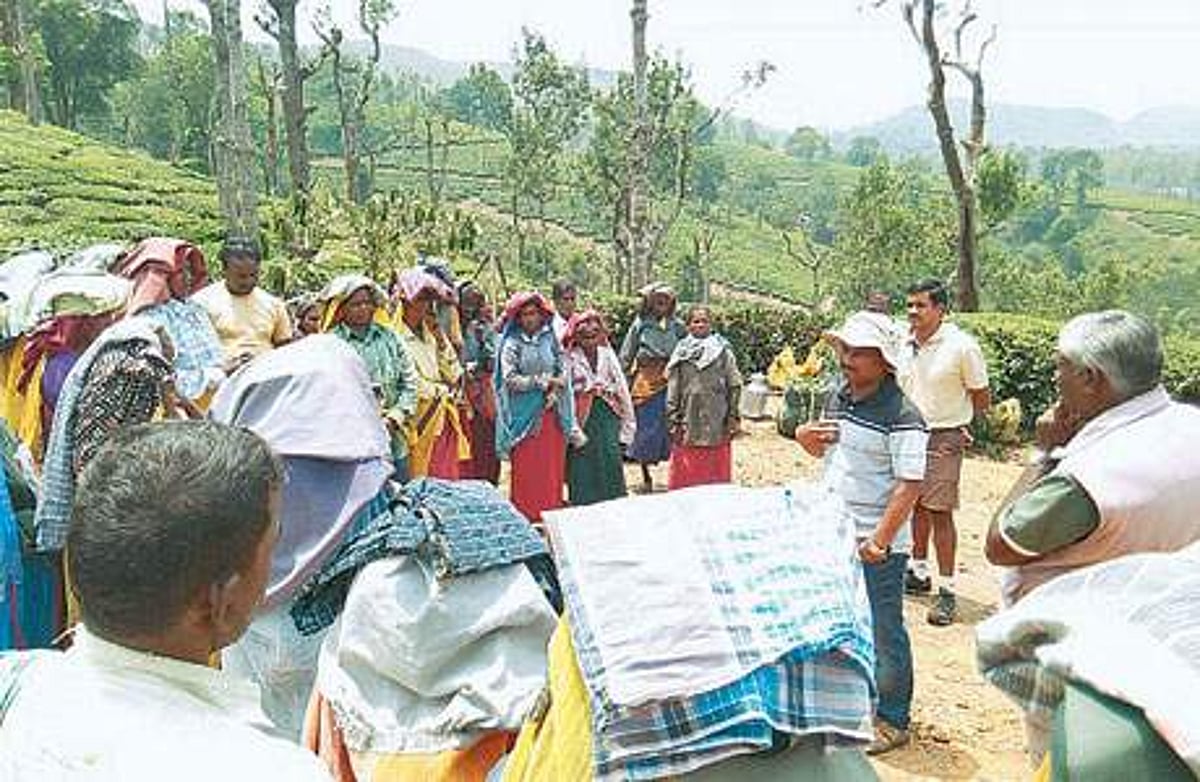கூடலூரில் யானைகள் நடமாட்டத்தை எச்சரிக்கும் சிவப்பு விளக்கு கோபுரங்கள்!