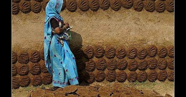 குடும்பத் தொழிலை அடுத்த லெவலுக்கு கொண்டு செல்ல அமேஸானில் சாண வறட்டி விற்றாலும் தவறில்லை!