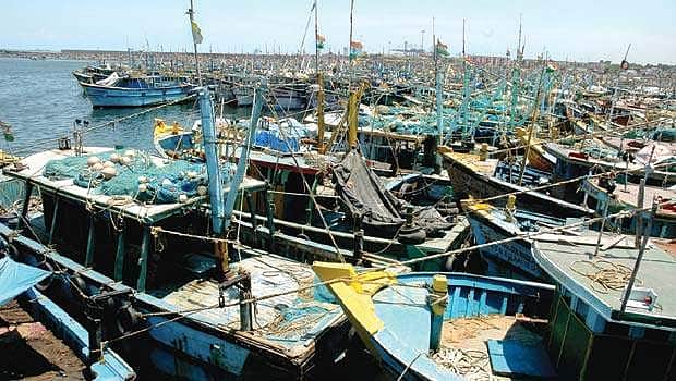 கிழக்கு கடற்கரை பகுதியில் ஏப்ரல் 15 முதல் ஜூன் 14 வரை மீன்பிடித் தடை காலம்!