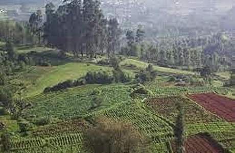 வெள்ளிமலைக்கு ஓர் சுற்றுலா...