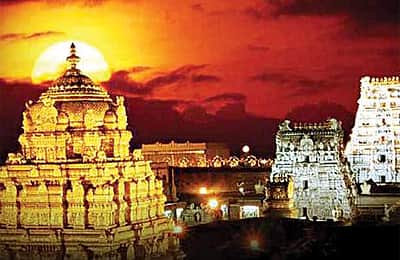 திருப்பதிக்குச் செல்பவர்களுக்கு இந்த விஷயம் தெரியுமா!