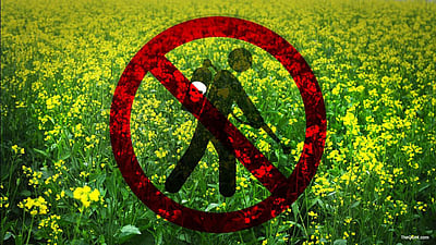 மரபணு மாற்ற கடுகு இந்திய விவசாயிகளுக்கு பெரும் அச்சுறுத்தல்: பிரதமருக்கு விஞ்ஞானிகள் அவசரக் கடிதம்