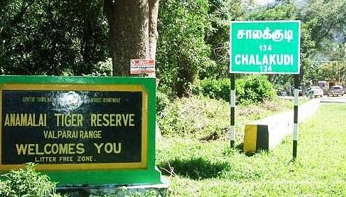 ஆனைமலை புலிகள் காப்பகத்தில் வரையாடுகள் வேட்டை?: பொதுமக்கள், சுற்றுலாப் பயணிகள் புகார்