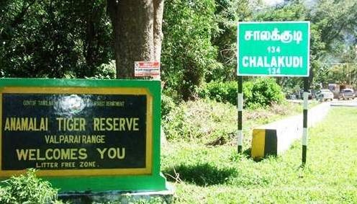 ஆனைமலை புலிகள் காப்பகத்தில் வரையாடுகள் வேட்டை?: பொதுமக்கள், சுற்றுலாப் பயணிகள் புகார்