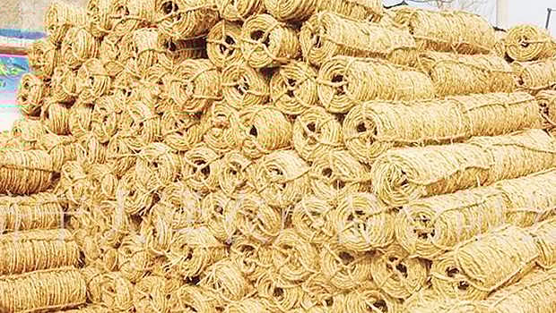 நலிவடையும் தென்னை மஞ்சுக் கயிறு தொழில்