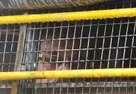 மும்பை தொடர் குண்டு வெடிப்பு வழக்கில் தொடர்புடைய முஸ்தபா டோசா மாரடைப்பால் காலமானார்